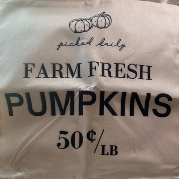 Harvest Pumpkin Decor Throw Pillow Covers 18 X 18 Set of 4 - Picture 4 of 4